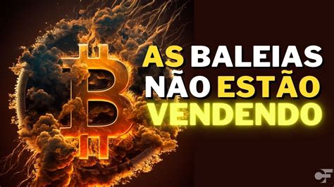 As Baleias N O Est O Vendendo Bitcoin E Voc Vai Youtube