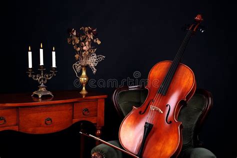 Cello. stockfoto. Bild von studio, getrocknet, cello - 11496040