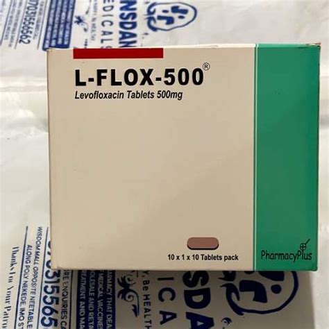 L Flox 500 Tablets Kins Dan Medicals