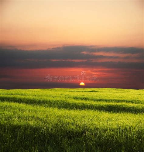 Field on sunset stock image. Image of meadow, country - 4486323