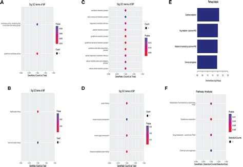 Frontiers Expression And Clinical Value Of Circrnas In Serum