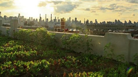 Documentary: Growing Cities