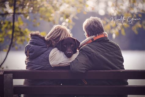 Motiv Ideen F R Dein Hundeshooting Bildgeschichten Akademie I