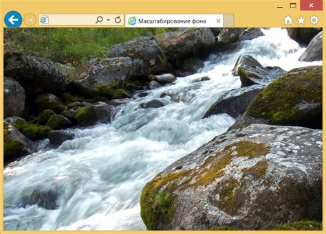 Масштабирование фона | HTML5 и CSS3 на примерах | WebReference