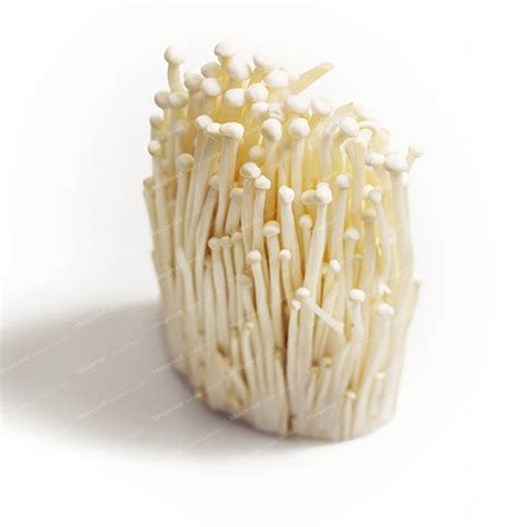 Enoki Mushroom Seeds — Jack Seeds