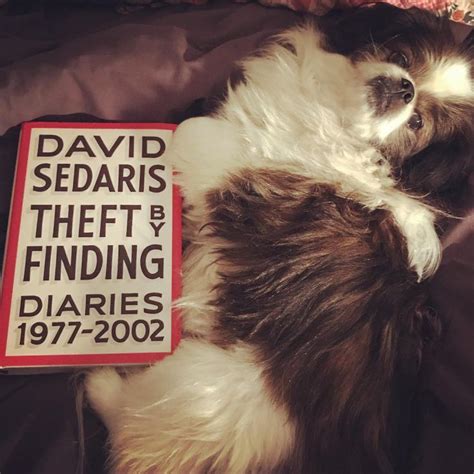 Pictures of Dashiell Messitt