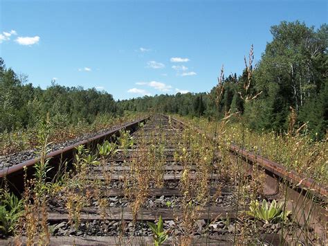 Abandoned Railroad Tracks Wallpaper