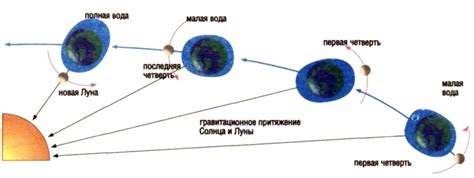 ПРИЛИВЫ | это... Что такое ПРИЛИВЫ?