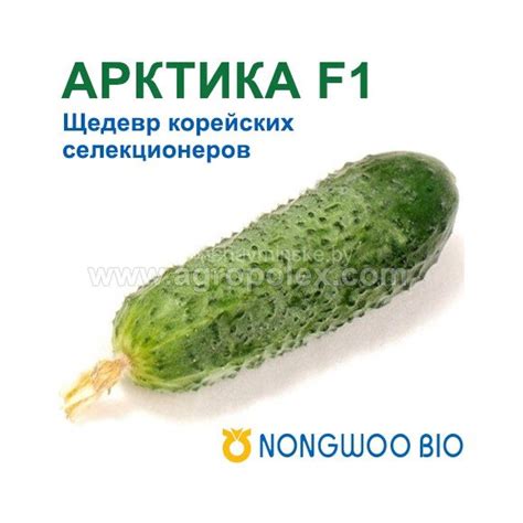 Купить семена почтой Минск
