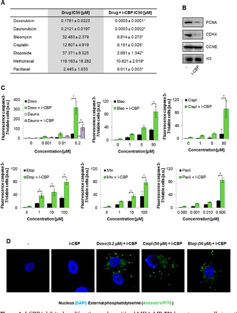 Figure 1 From CBP P300 Bromodomain InhibitorICBP112 Declines