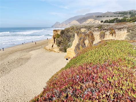 All The Best Beaches In Half Moon Bay The Bay Areas Favorite Coastline