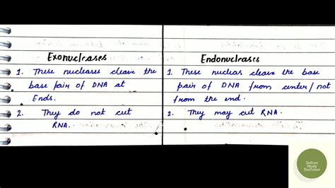 What Is An Exonuclease