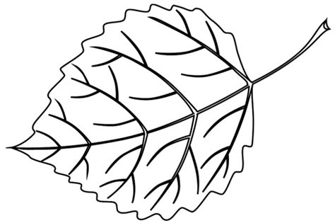 Coloriage Une Feuille D Arbre Turbulus Jeux Pour Enfants