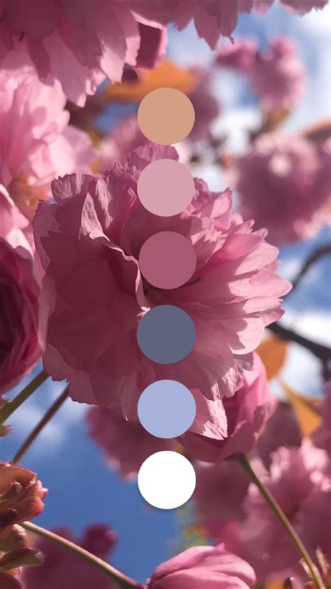 The Skies Are Blue And The Flowers Are Blooming Yay For Spring And The