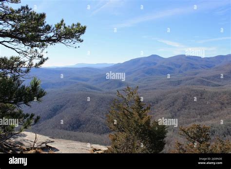 Pisgah National Forest Winter