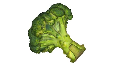 3d Broccoli Scan Scanner Turbosquid 1641311