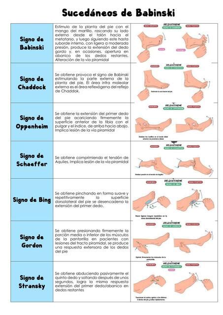 Semio Udocz