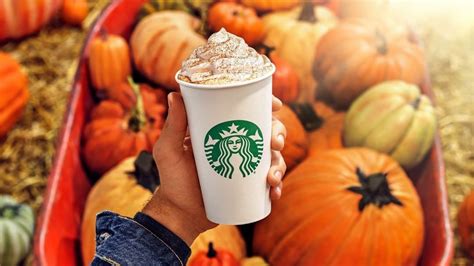 Starbucks Pumpkin Spice Coffee Recipe Lane Bunn