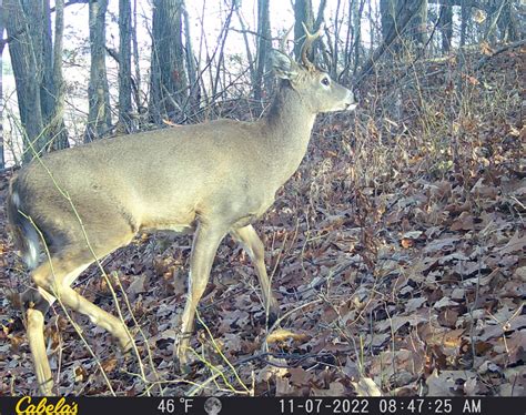 When Can You Hunt In Pennsylvania Which Sundays Are Open