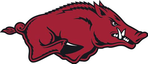 Razorback Spirit Squad And Band Programs University Of Arkansas