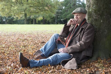 Happy Mature Man Sitting Under A Tree In Autumn Stock Image Image Of