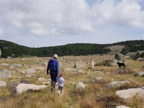 L Inscription Des Causses Et Des C Vennes Les Causses Et Les C Vennes