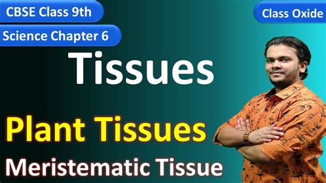 Meristematic Tissue Plant Tissues Cbse Class 9 Science Chapter 6