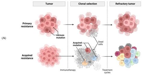 Ijms Free Full Text Cancer Resistance To Immunotherapy Molecular