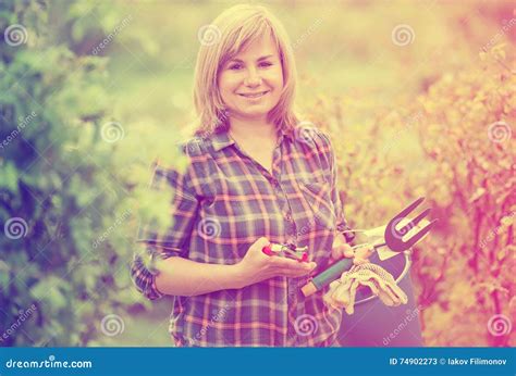 Mature Woman Tools Stock Image Image Of Instruments 74902273