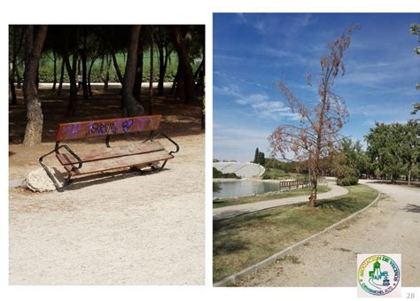Los Vecinos Denuncian La Muerte Silenciosa Del Parque De Las Cruces Gu A De Aluche Latina