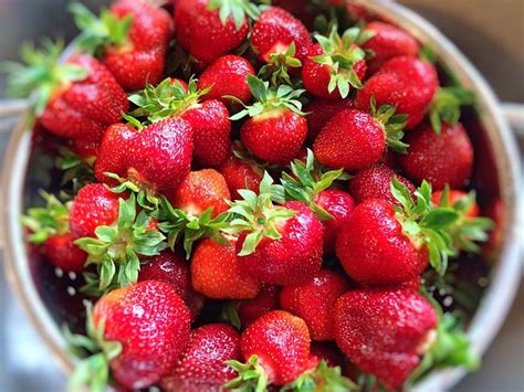 Strawberries Fruit Fresh Free Photo On Pixabay Pixabay