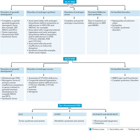 Classification Of Dsds Disorders Of Sex Development Dsds Are Download Scientific Diagram