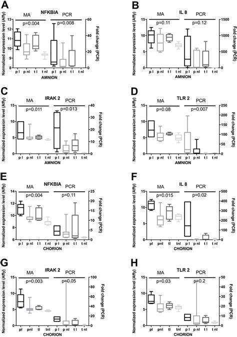 Rt Qpcr Based Validation Of Expression Changes Assessed By