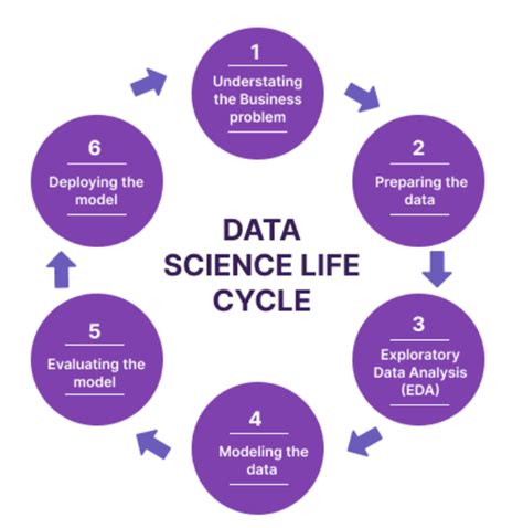 What Is Data Science Meaning Lifecycle Data Scientist Skills