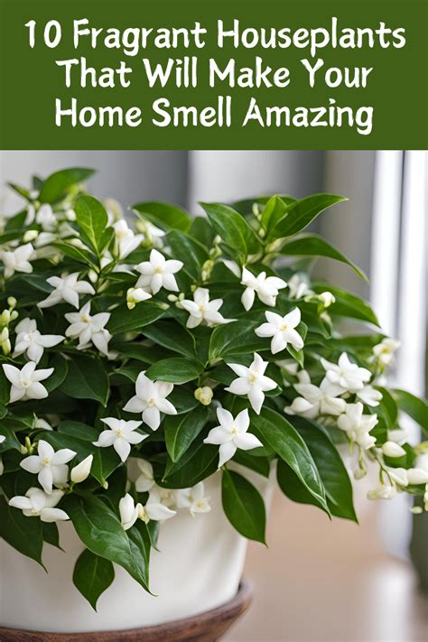 Fragrant Houseplants That Will Make Your Home Smell Amazing In