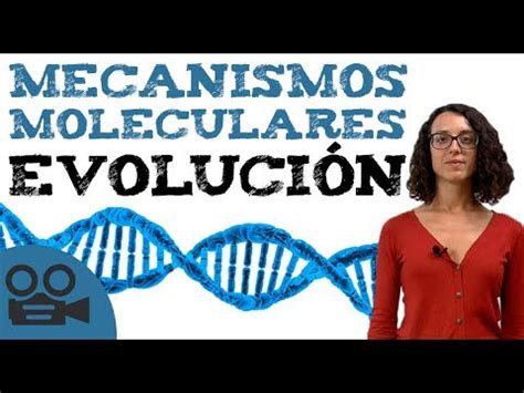 Mecanismos Moleculares De La Evoluci N Youtube