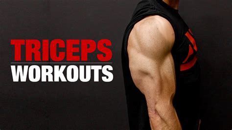 Tricep Workouts Ultimate Guide To Triceps Athlean X Atelier Yuwa Ciao Jp