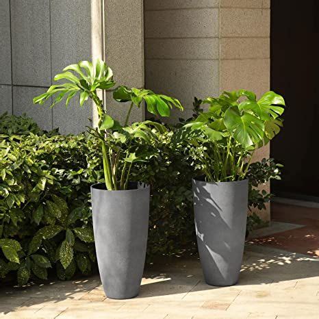 Two Planters With Plants In Them Sitting On The Side Of A Building Next