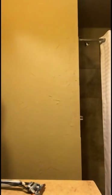 Heidi Bocanegra Onlyfans Shower Nude Video Full Videos At Freemega Co