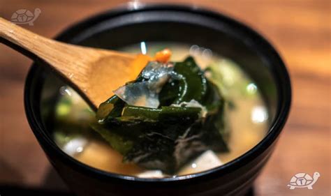 Alga Wakame Proprietà Benefici E Come Si Usa Talkiblog