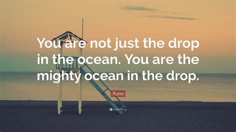 Rumi Quote: “You are not just the drop in the ocean. You are the mighty ocean in the drop.”