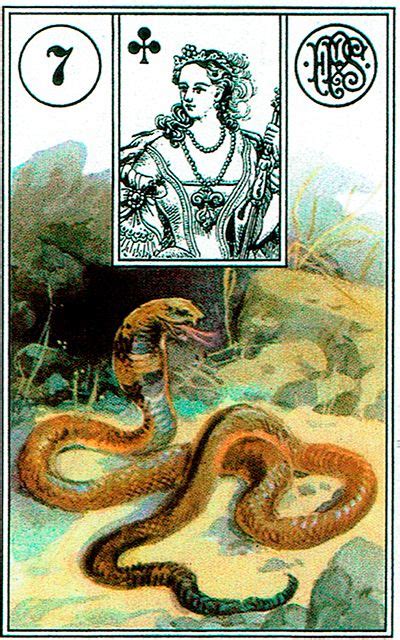 Significado De La Serpiente Del Tarot Lenormand Quieres Conocer El