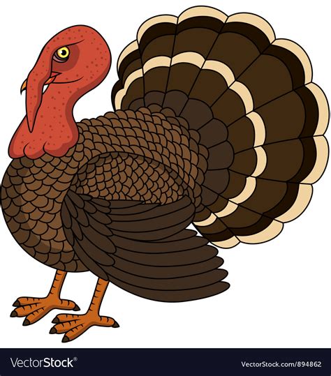 Turkey Royalty Free Vector Image - VectorStock