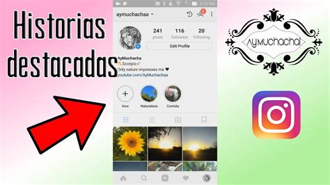 Como Agregar Historias Destacadas En Instagram Youtube