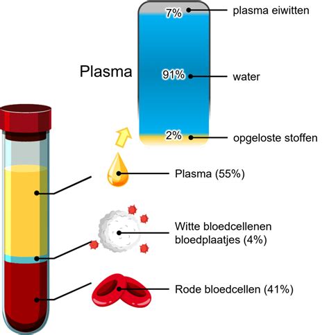 Waar Bestaat Het Bloed Uit Biologie Uitleg En Oefeningen