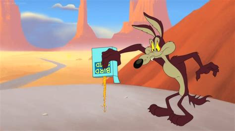 Wile E Coyote Wallpapers Top Free Wile E Coyote Backgrounds