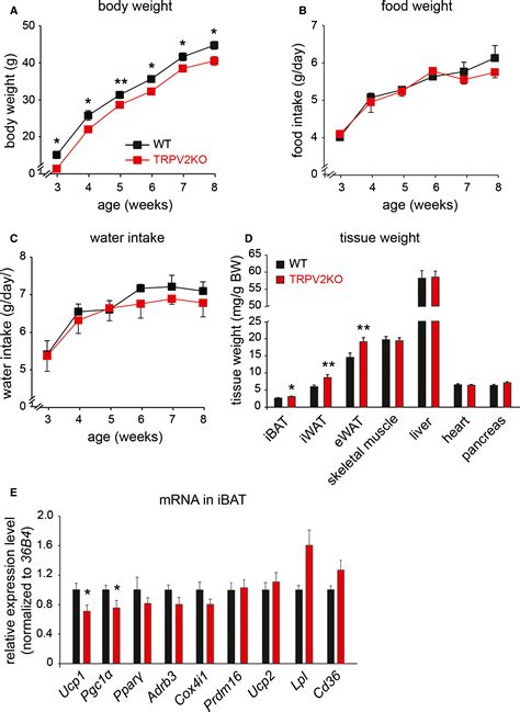 Lack Of TRPV2 Impairs Thermogenesis In Mouse Brown Adipose Tissue