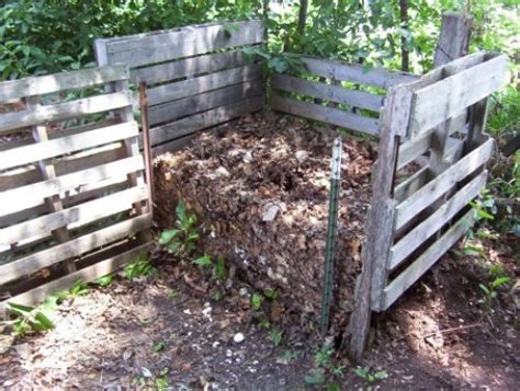 Садовый компостер: характеристика, использование, изготовление ...