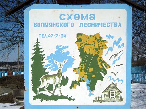 Волма / Александр Зайцев