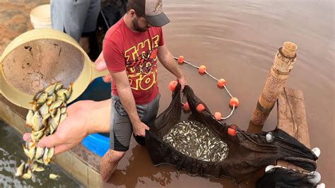 O que pegamos de peixe hoje não foi brincadeira YouTube